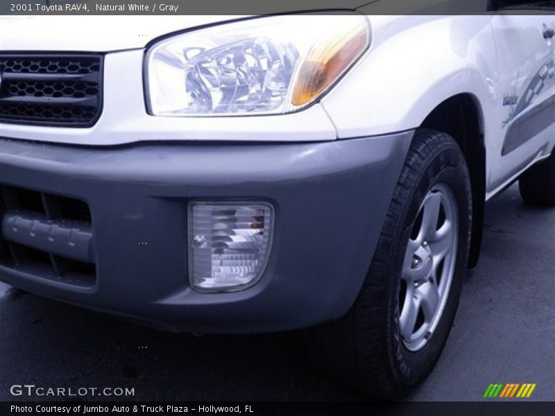 Natural White / Gray 2001 Toyota RAV4