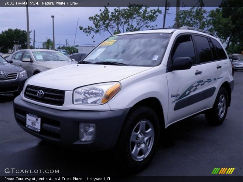 Natural White / Gray 2001 Toyota RAV4