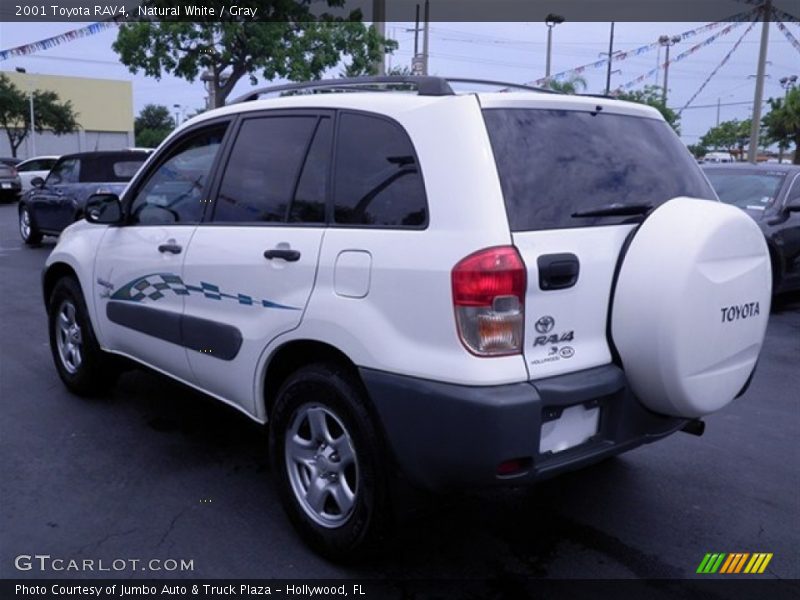 Natural White / Gray 2001 Toyota RAV4