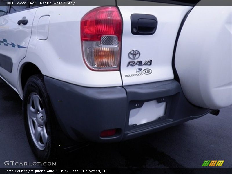 Natural White / Gray 2001 Toyota RAV4