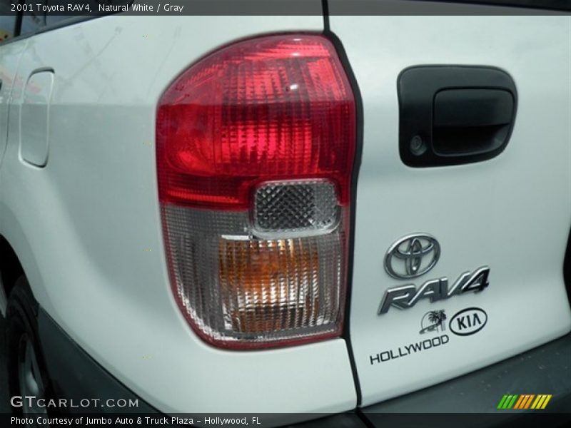Natural White / Gray 2001 Toyota RAV4