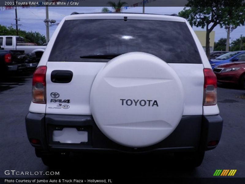 Natural White / Gray 2001 Toyota RAV4