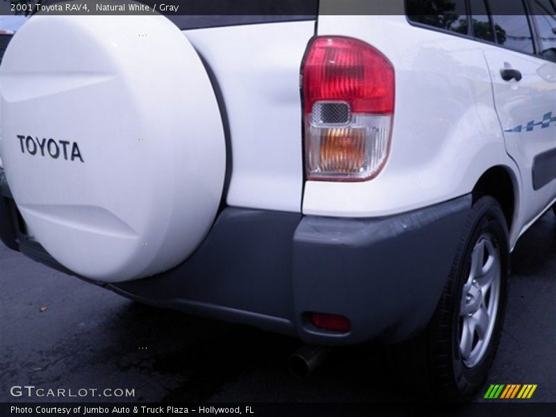 Natural White / Gray 2001 Toyota RAV4
