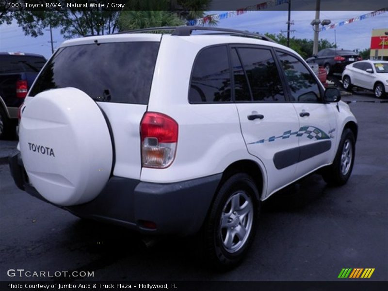 Natural White / Gray 2001 Toyota RAV4