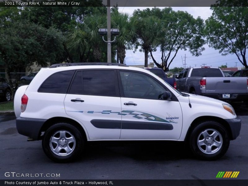 Natural White / Gray 2001 Toyota RAV4