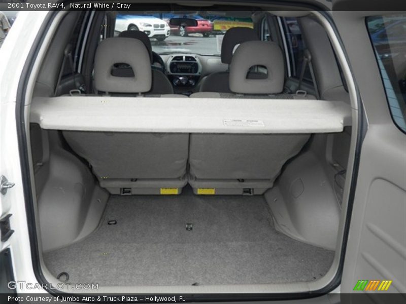 Natural White / Gray 2001 Toyota RAV4