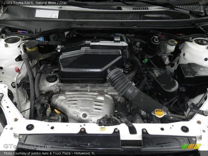 Natural White / Gray 2001 Toyota RAV4
