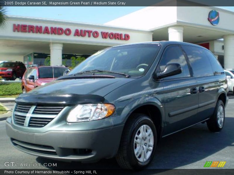Magnesium Green Pearl / Medium Slate Gray 2005 Dodge Caravan SE