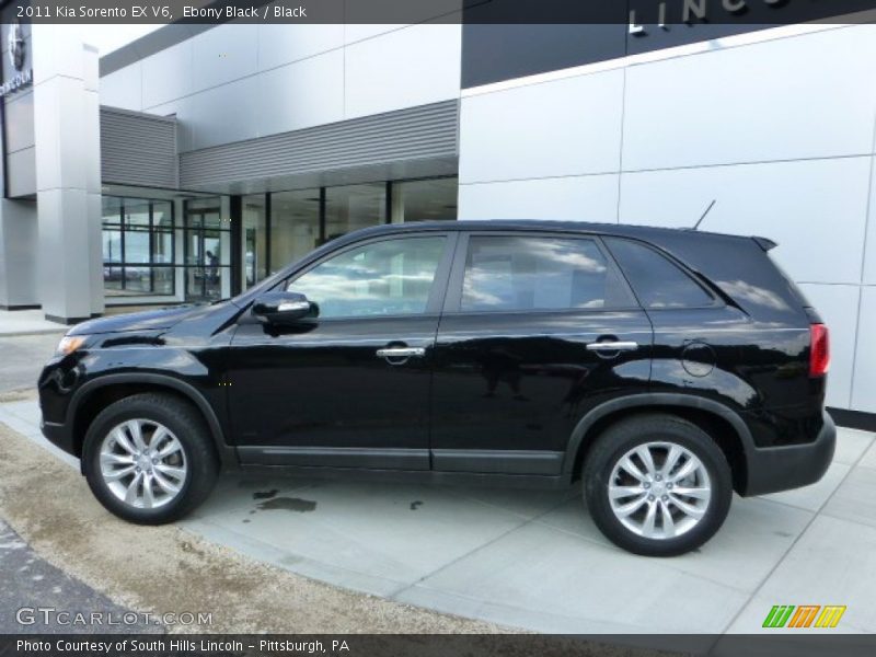 Ebony Black / Black 2011 Kia Sorento EX V6