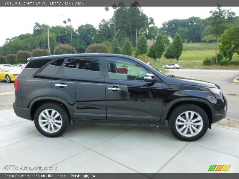 Ebony Black / Black 2011 Kia Sorento EX V6