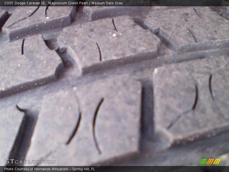 Magnesium Green Pearl / Medium Slate Gray 2005 Dodge Caravan SE