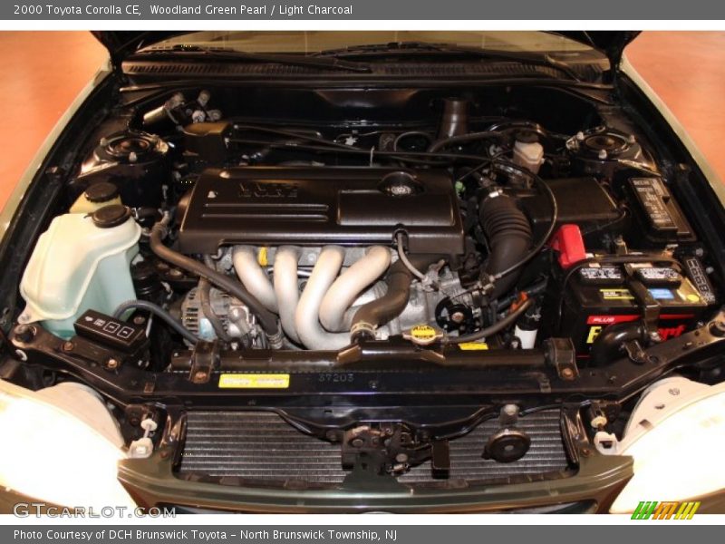 Woodland Green Pearl / Light Charcoal 2000 Toyota Corolla CE