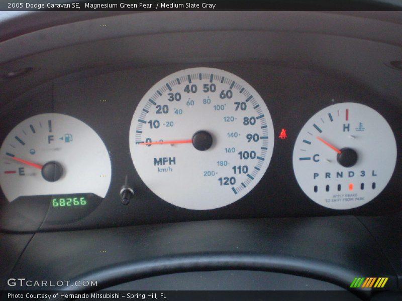 Magnesium Green Pearl / Medium Slate Gray 2005 Dodge Caravan SE