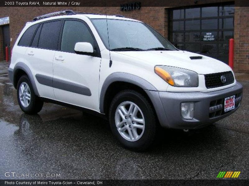 Natural White / Gray 2003 Toyota RAV4