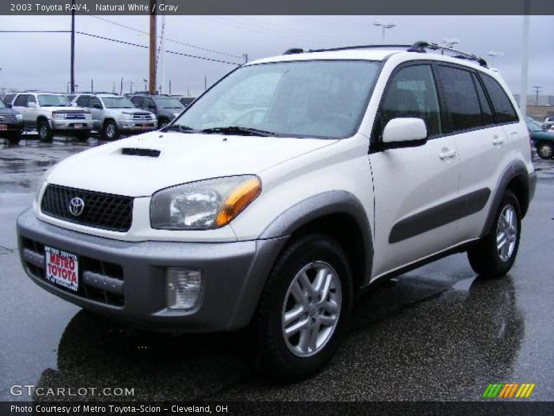 Natural White / Gray 2003 Toyota RAV4