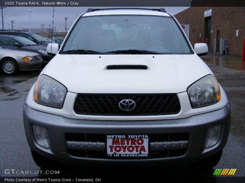 Natural White / Gray 2003 Toyota RAV4