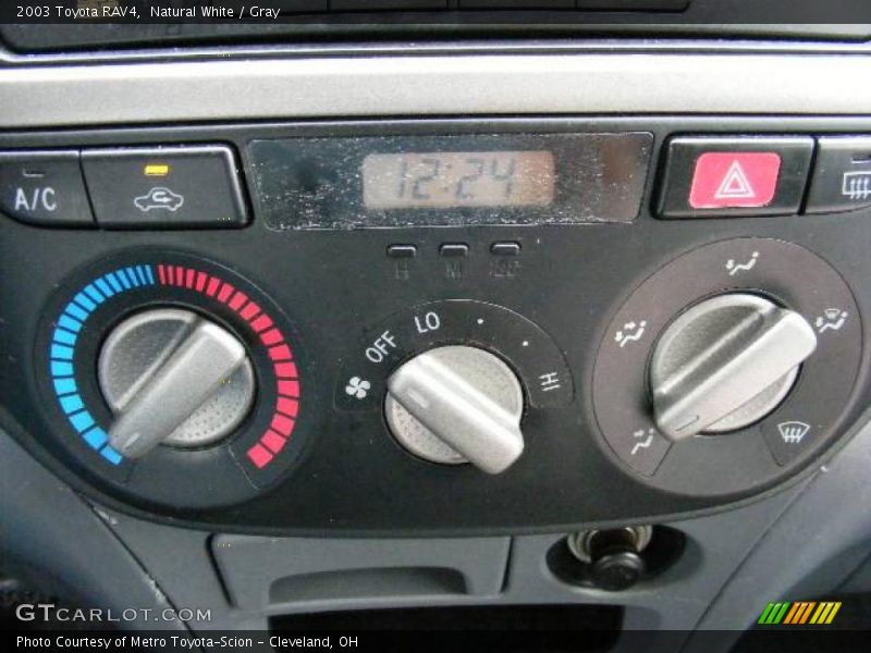 Natural White / Gray 2003 Toyota RAV4