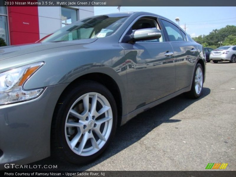 Mystic Jade Green / Charcoal 2010 Nissan Maxima 3.5 SV
