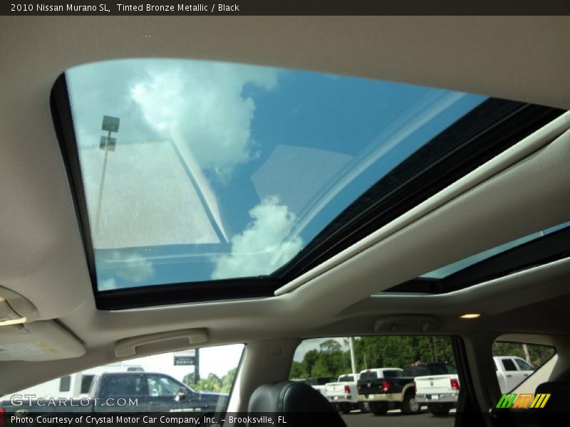 Tinted Bronze Metallic / Black 2010 Nissan Murano SL