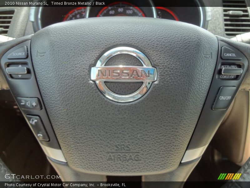Tinted Bronze Metallic / Black 2010 Nissan Murano SL