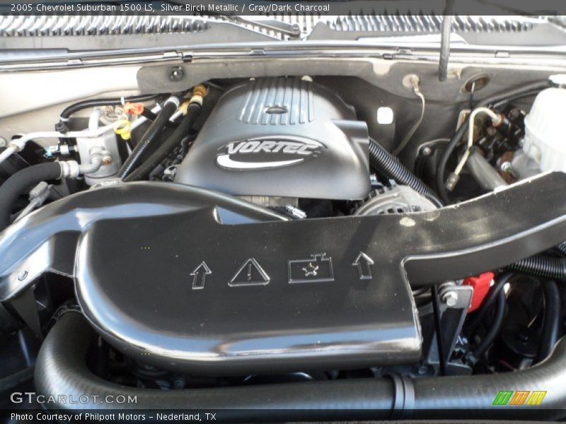 Silver Birch Metallic / Gray/Dark Charcoal 2005 Chevrolet Suburban 1500 LS