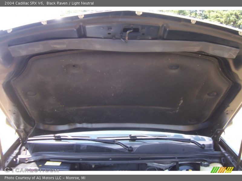 Black Raven / Light Neutral 2004 Cadillac SRX V6