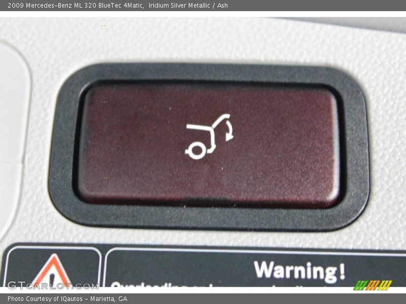 Iridium Silver Metallic / Ash 2009 Mercedes-Benz ML 320 BlueTec 4Matic