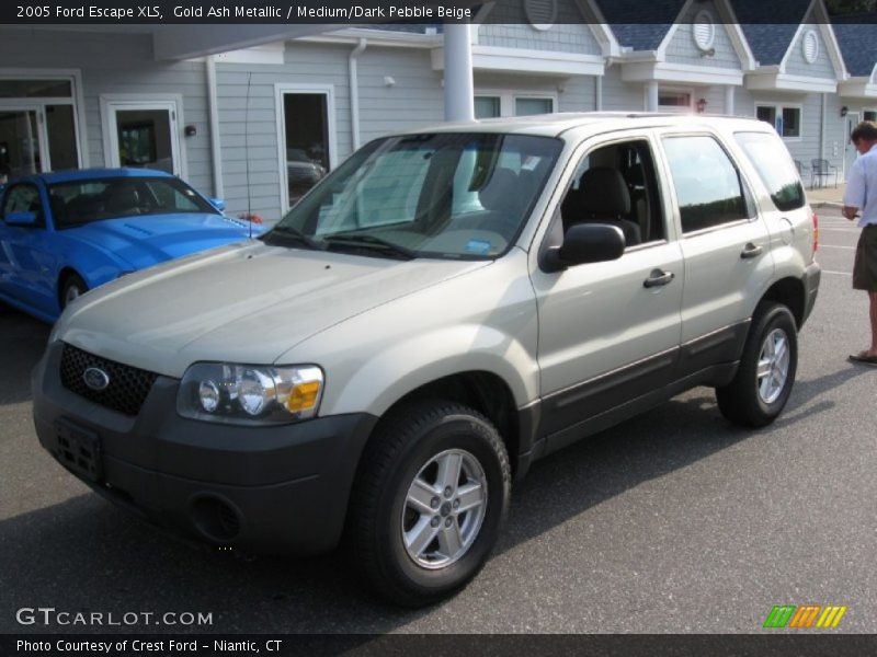 Gold Ash Metallic / Medium/Dark Pebble Beige 2005 Ford Escape XLS