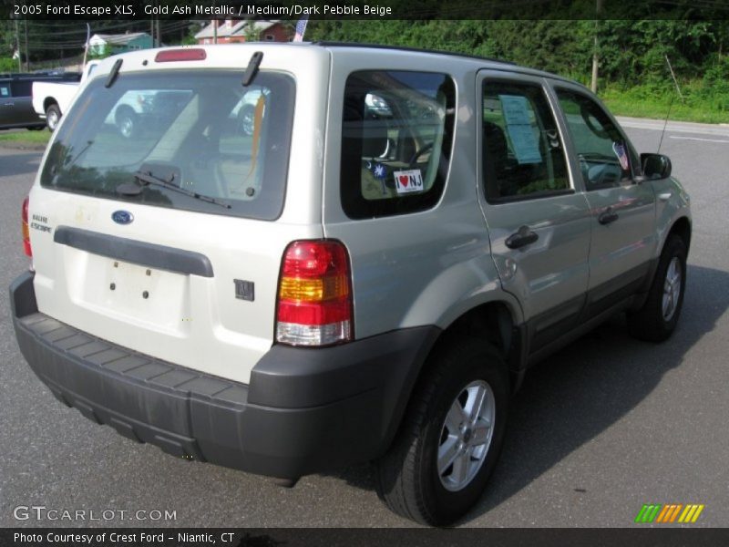 Gold Ash Metallic / Medium/Dark Pebble Beige 2005 Ford Escape XLS