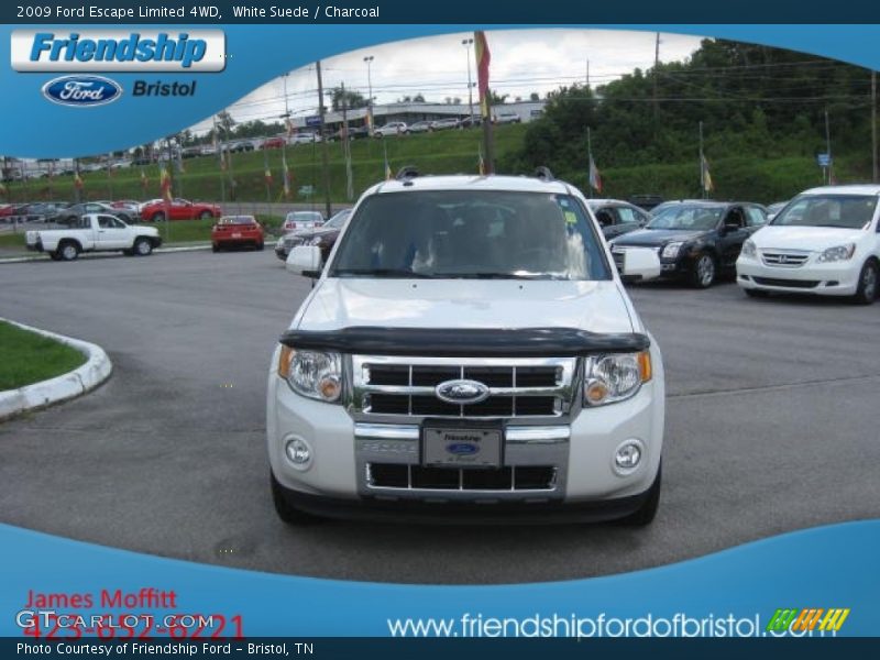 White Suede / Charcoal 2009 Ford Escape Limited 4WD