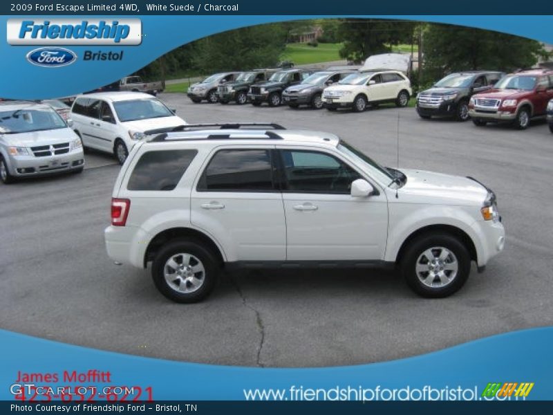 White Suede / Charcoal 2009 Ford Escape Limited 4WD
