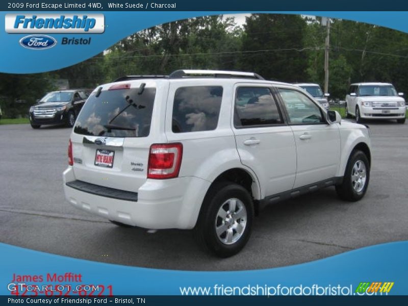 White Suede / Charcoal 2009 Ford Escape Limited 4WD