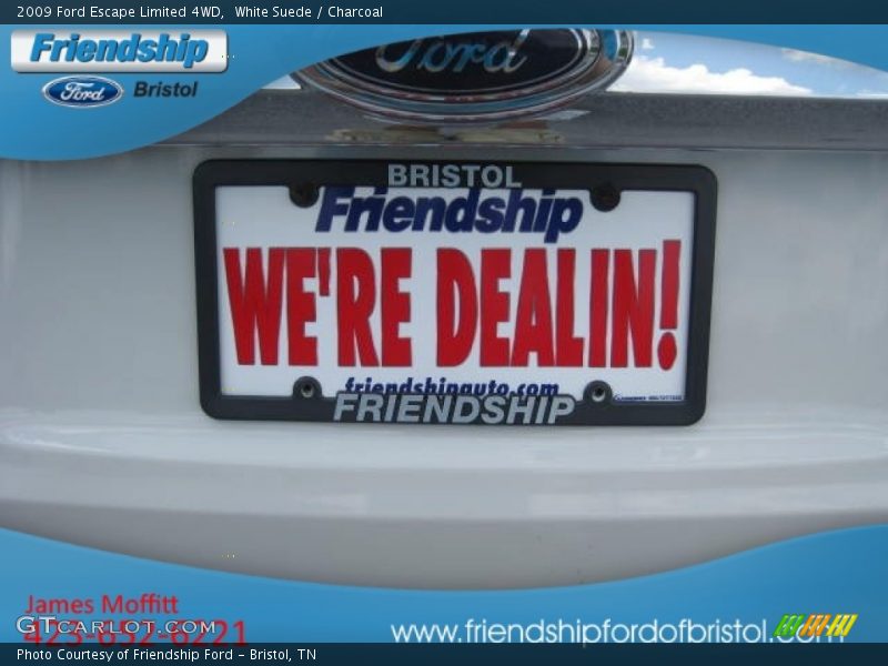 White Suede / Charcoal 2009 Ford Escape Limited 4WD