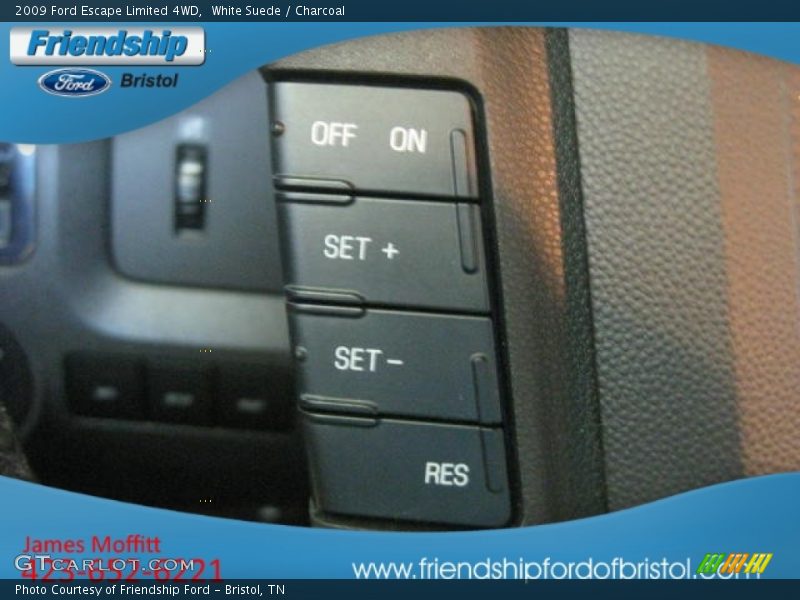 White Suede / Charcoal 2009 Ford Escape Limited 4WD
