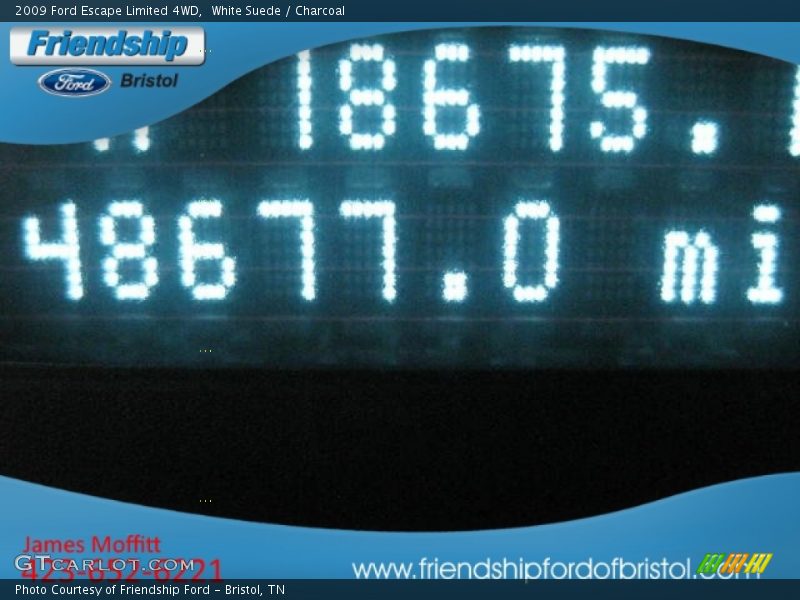 White Suede / Charcoal 2009 Ford Escape Limited 4WD