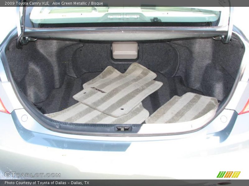 Aloe Green Metallic / Bisque 2009 Toyota Camry XLE