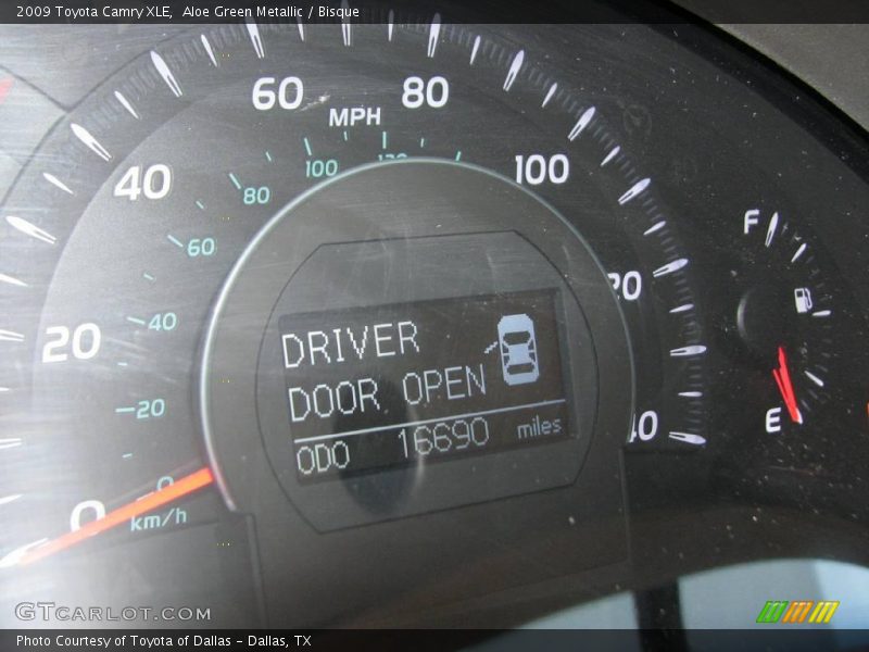 Aloe Green Metallic / Bisque 2009 Toyota Camry XLE