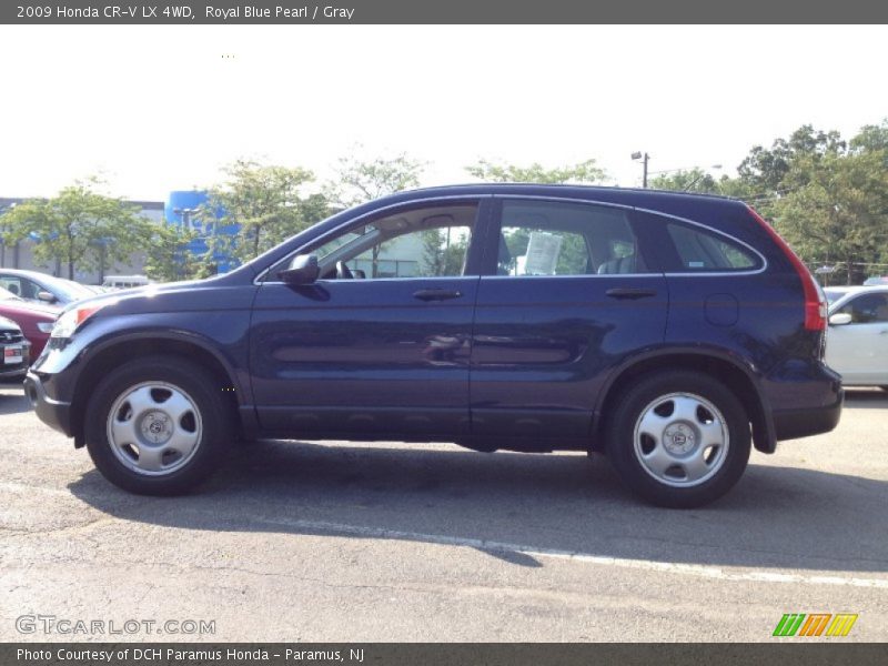 Royal Blue Pearl / Gray 2009 Honda CR-V LX 4WD