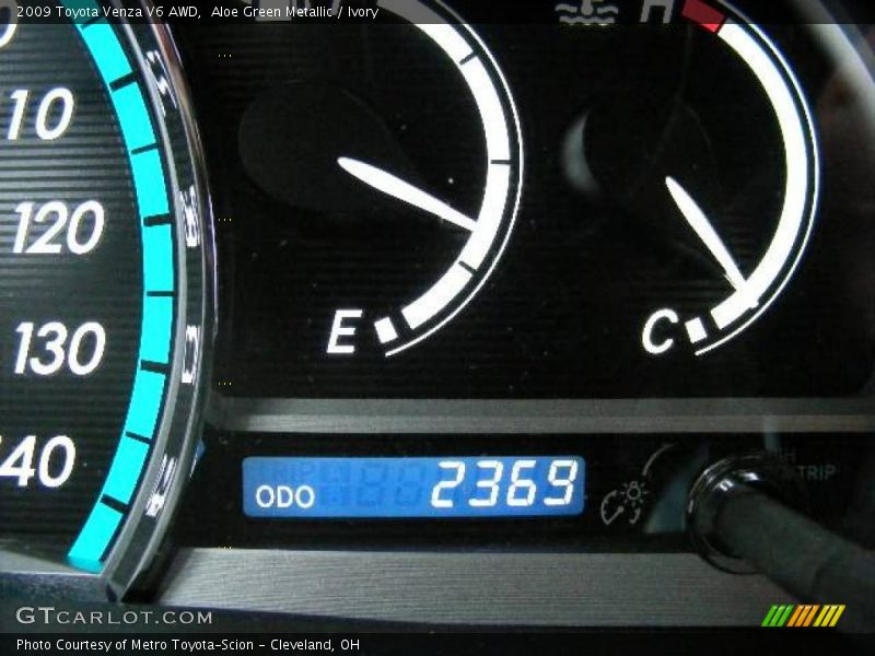 Aloe Green Metallic / Ivory 2009 Toyota Venza V6 AWD