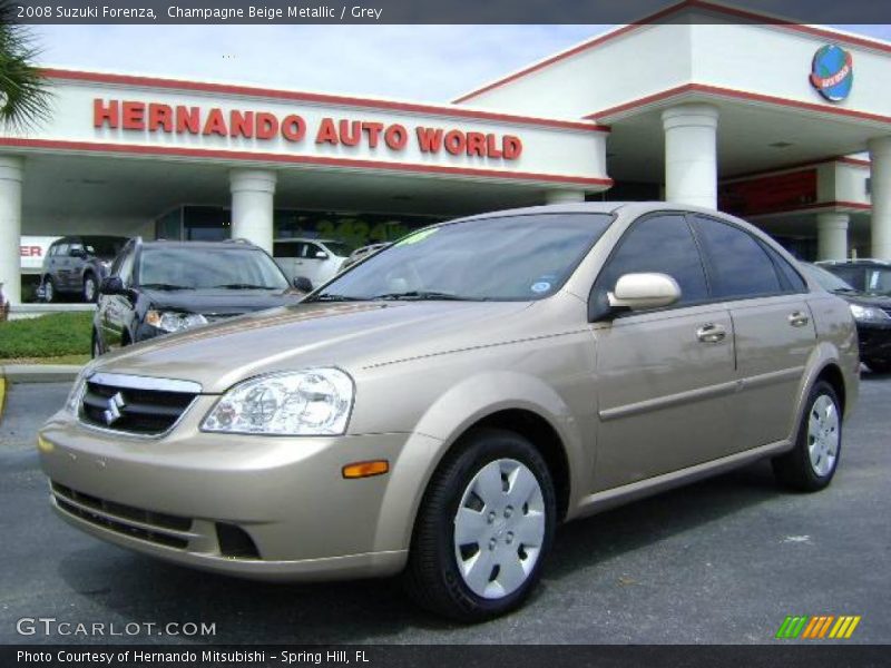 Champagne Beige Metallic / Grey 2008 Suzuki Forenza