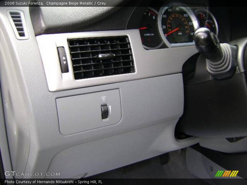 Champagne Beige Metallic / Grey 2008 Suzuki Forenza