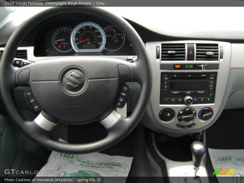 Champagne Beige Metallic / Grey 2008 Suzuki Forenza