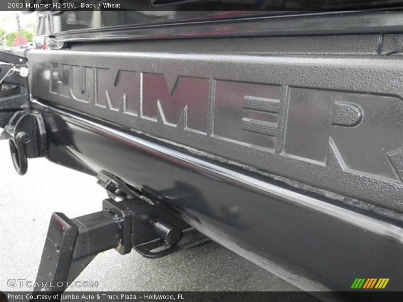 Black / Wheat 2003 Hummer H2 SUV