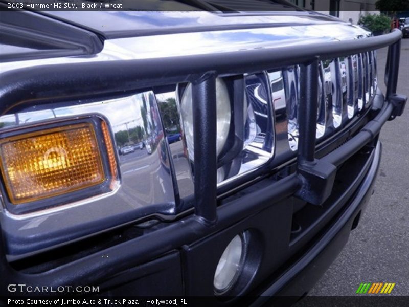 Black / Wheat 2003 Hummer H2 SUV