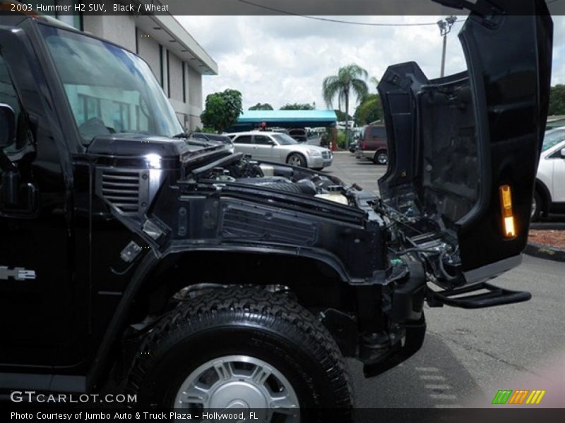 Black / Wheat 2003 Hummer H2 SUV