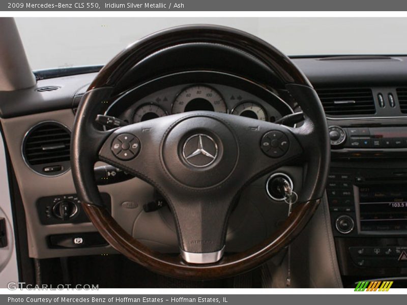 Iridium Silver Metallic / Ash 2009 Mercedes-Benz CLS 550