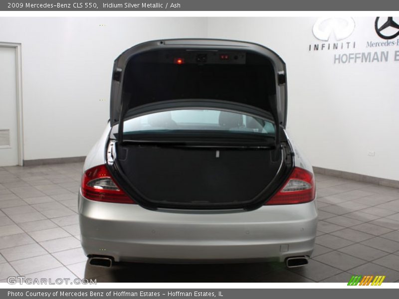 Iridium Silver Metallic / Ash 2009 Mercedes-Benz CLS 550