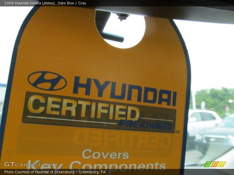 Slate Blue / Gray 2009 Hyundai Sonata Limited
