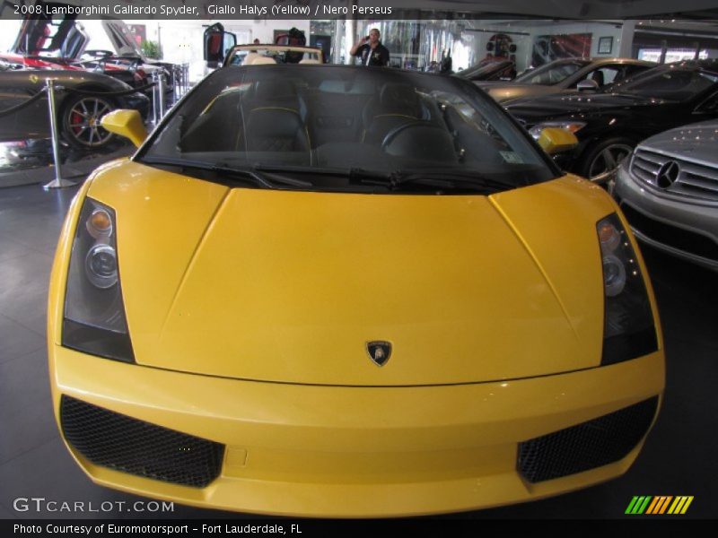 Giallo Halys (Yellow) / Nero Perseus 2008 Lamborghini Gallardo Spyder