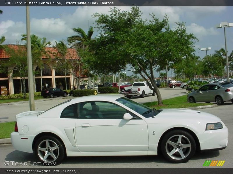 Oxford White / Dark Charcoal 2003 Ford Mustang Cobra Coupe